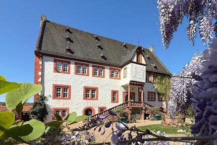 Gewerbeobjekt Klingenberg am Main - 1.070&euro; | Angebot:21930411