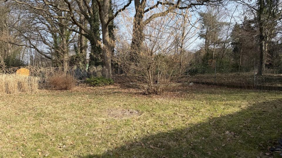 Erdgeschoßwohnung Walsrode - 4 Zimmer, 150 m&sup2;, 1.190&euro; | Angebot:25640478