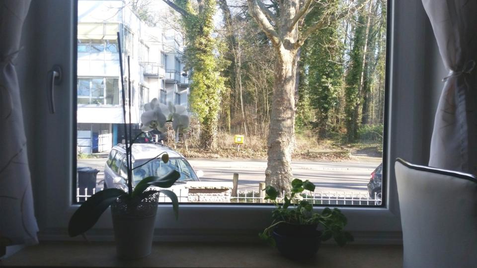 Erdgeschoßwohnung Baiersdorf - 3 Zimmer, 80 m&sup2;, 1.350&euro; | Angebot:25935684