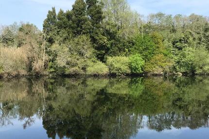 Wohnen auf Zeit Tholey - 99 Zimmer, 999 m&sup2;, 123&euro; | Angebot:24677356