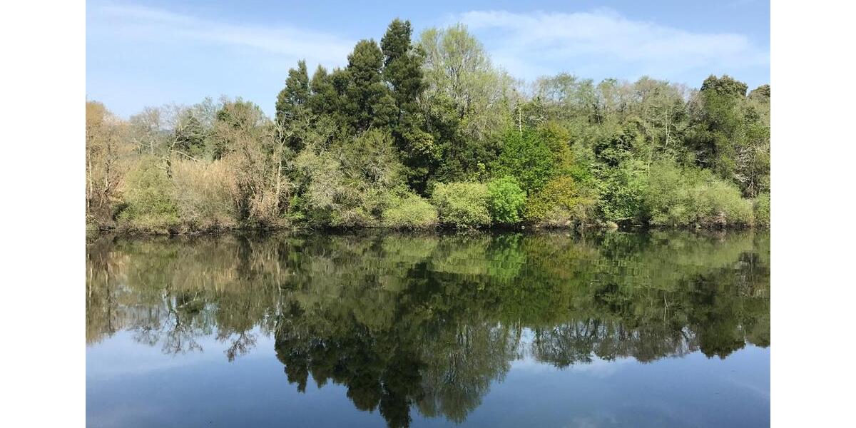 Wohnen auf Zeit Tholey - 99 Zimmer, 999 m&sup2;, 123&euro; | Angebot:24677356