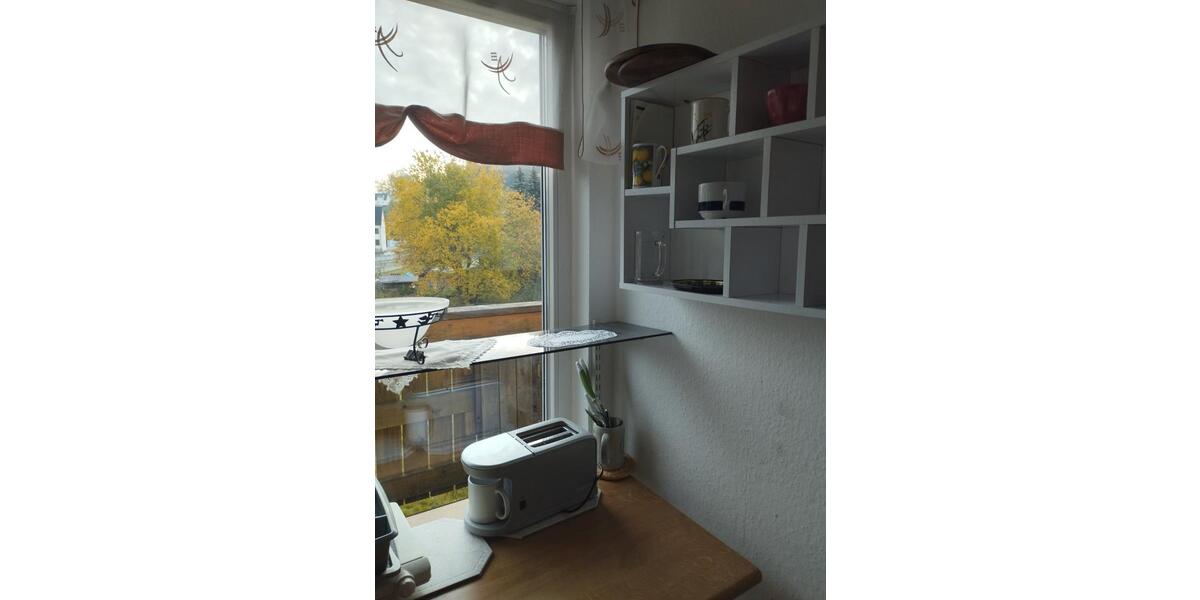Etagenwohnung Thermalbad Wiesenbad - 1 Zimmer, 22 m&sup2;, 319&euro; | Angebot:26286523