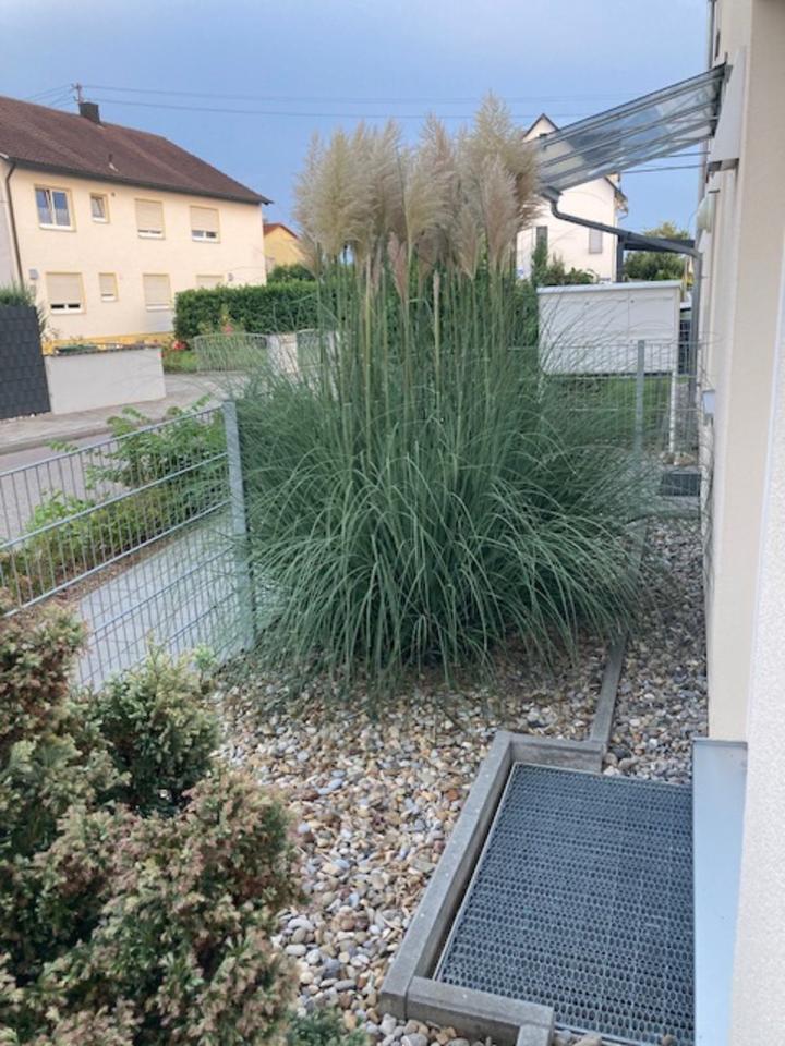 2-Zimmer Erdgeschoßwohnung mit schönen Garten