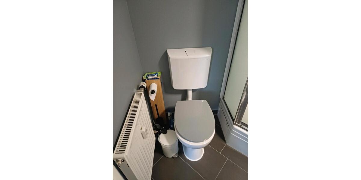 Etagenwohnung Freiberg - 1 Zimmer, 30 m&sup2;, 300&euro; | Angebot:24631805