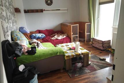 Wohnung Salzgitter Ortschaft Südost - 2 Zimmer, 45 m&sup2;, 250&euro; | Angebot:27601769