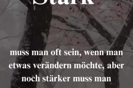 Wohnung Stoetze - 1 Zimmer, 35 m&sup2;, 150&euro; | Angebot:24562173