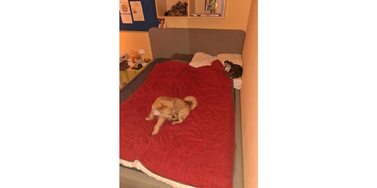 Wohnen auf Zeit Borgholzhausen - 1 Zimmer, 38 m&sup2;, 450&euro; | Angebot:26527691