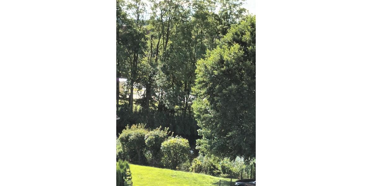 Einfamilienhaus Dornum - 2 Zimmer, 45 m&sup2;, 400&euro; | Angebot:26705889