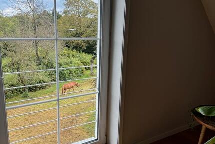 Wohnung Welzheim - 3.5 Zimmer, 90 m&sup2;, 900&euro; | Angebot:24966171