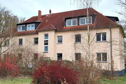 Wohnung Elsteraue - 5 Zimmer, 137 m&sup2;, 1.000&euro; | Angebot:26235229