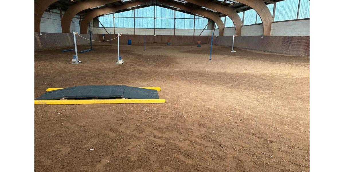 Gewerbeobjekt Schönborn - 250&euro; | Angebot:26572612