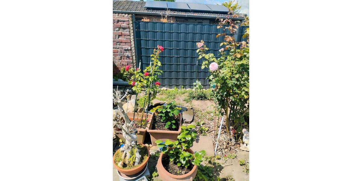 drei Zimmer Wohnung 3 zimmer