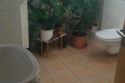 DG-Zimmer mit Dusche ohne Küche mit Kühlschrank an Pendler