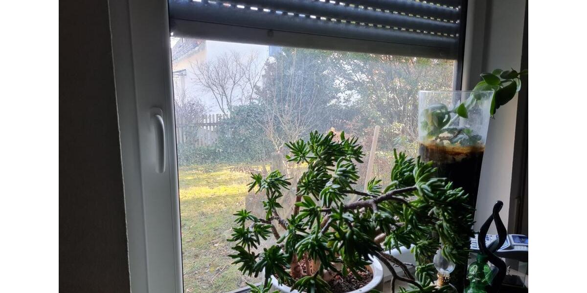 Wohnen auf Zeit Stuttgart Fasanenhof-Ost - 1 Zimmer, 18 m&sup2;, 600&euro; | Angebot:25051532