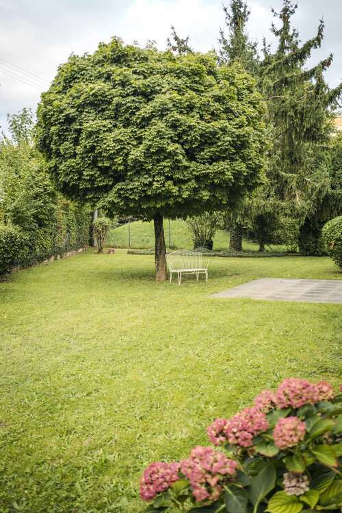 Wohnung zum Mieten in Leimen 850 € 74.8 m²