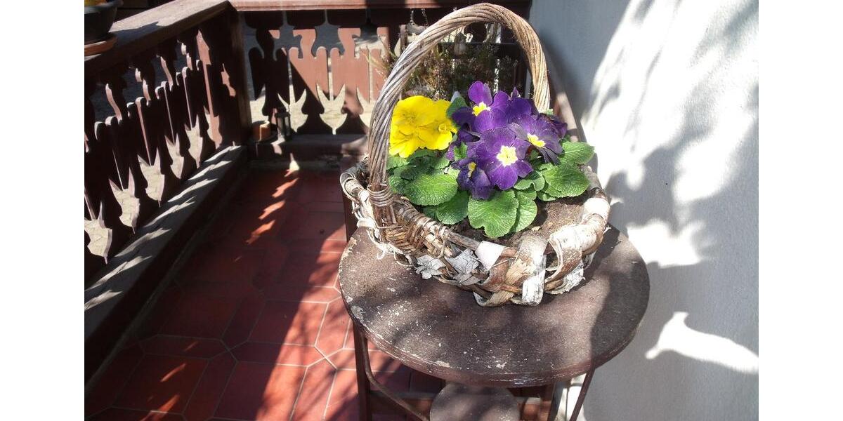 Erdgeschoßwohnung Bad Bocklet - 2 Zimmer, 77 m&sup2;, 550&euro; | Angebot:25857771