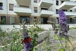 Erstbezug in Grünau an der Dahme! Gehobene NeubauWohnung mit EKB, Terrasse & Gartenanteil