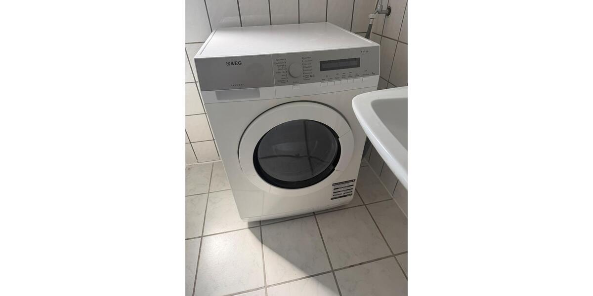 Wohnen auf Zeit Nienburg (Weser) - 1 Zimmer, 18 m&sup2;, 311&euro; | Angebot:26214470