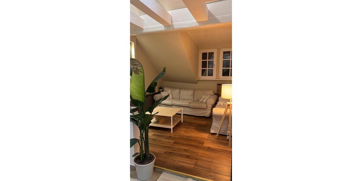 Dachgeschoßwohnung Eisenach - 1 Zimmer, 55 m&sup2;, 1.000&euro; | Angebot:24841605