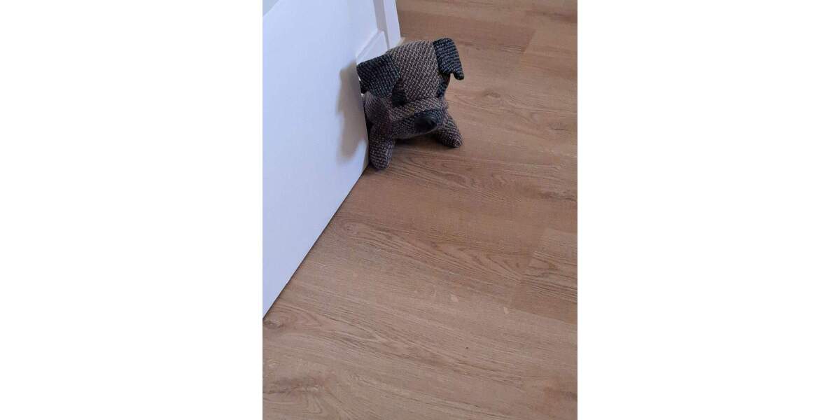 Zimmer Köln Weidenpesch - 1 Zimmer, 22 m&sup2;, 580&euro; | Angebot:25970561