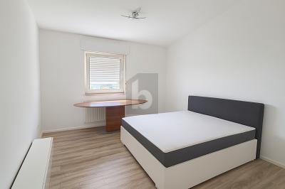 TOP SANIERT, TOP WG - Erdgeschoßwohnung Mannheim Sandhofen | Angebot:26780016