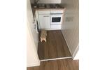 Etagenwohnung Stapelfeld - 1 Zimmer, 35 m&sup2;, 750&euro; | Angebot:26548754