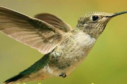 Komplettsanierung 2022 mit Fussbodenheizung. 2-Zi.-Wohnung in Sonneberg. 57m² zimmer