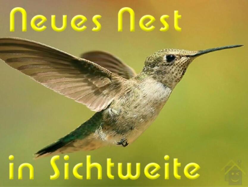 Komplettsanierung 2022 mit Fussbodenheizung. 2-Zi.-Wohnung in Sonneberg. 57m² zimmer