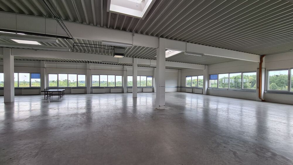 Provisionsfreie Gewerbefläche nahe Hamburg: helle Lager-, Produktions- & Bürohalle 450–1.100 m² - Gewerbeobjekt Schwarzenbek Rülau | Angebot:26625296