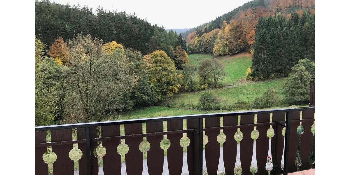 Etagenwohnung Willingen (Upland) - 2 Zimmer, 89 m&sup2;, 765&euro; | Angebot:25991893