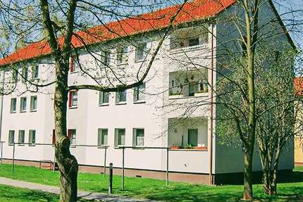 Wohnung Prenzlau - 2 Zimmer, 40 m&sup2;, 320&euro; | Angebot:27053881