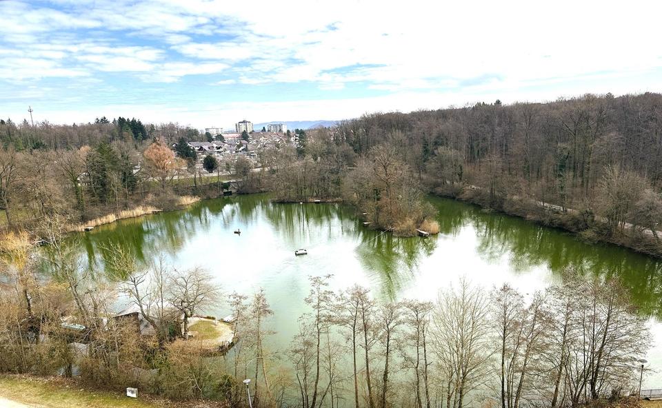 Neuwertige 4 Zim.-Penthouse Wohnung am See mit riesen Terrasse in Singen 4 zimmer