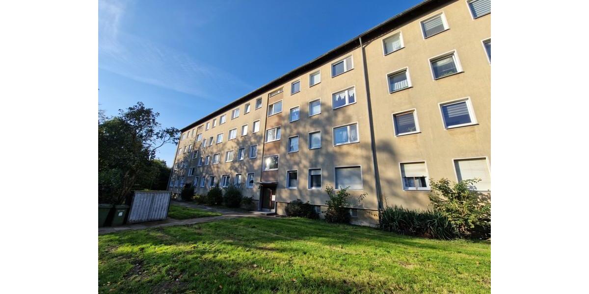 Hier wird motiviert renoviert! 3 zimmer