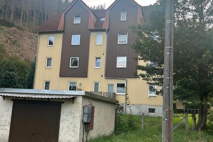 3-Zimmer-Wohnung mit Einbauküche und Möbel in 98744 Mellenbach 3 zimmer