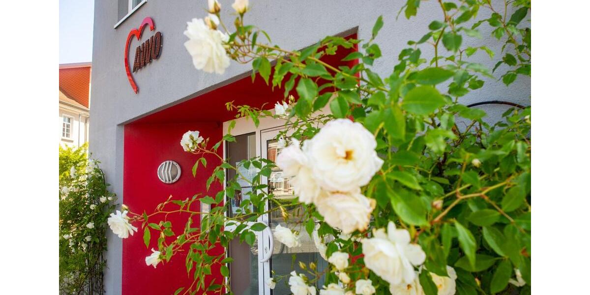 Etagenwohnung Grimmen - 1 Zimmer, 31 m&sup2;, 325&euro; | Angebot:24627005