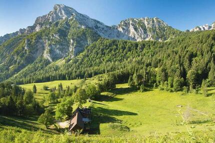 Wohnung Piding - 1 Zimmer, 28 m&sup2;, 500&euro; | Angebot:25078929