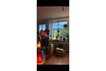 Etagenwohnung Hannover Vahrenwald-List - 1 Zimmer, 32 m&sup2;, 580&euro; | Angebot:26632671
