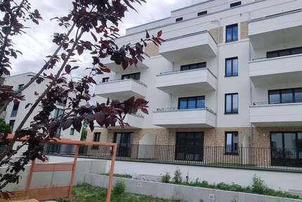 Wohnung zum Mieten in Berlin 1.185 € 65 m²