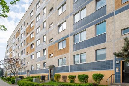 Wohnungstyp große Scholle 3 zimmer