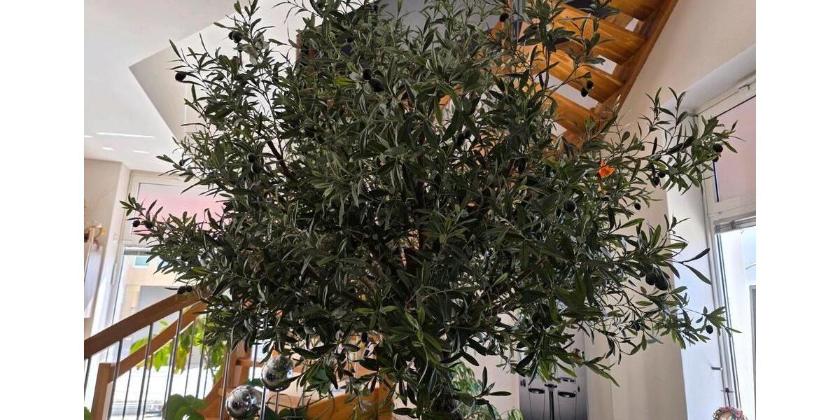 Gewerbeobjekt Brandenburg an der Havel - 980&euro; | Angebot:26504505