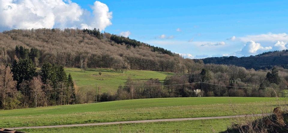 Einfamilienhaus Brücken - 9 Zimmer, 240 m&sup2;, 2.800&euro; | Angebot:25949530