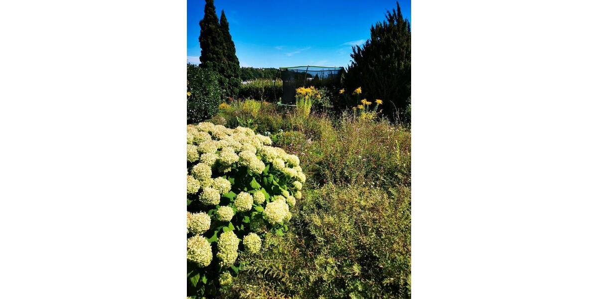 Erdgeschoßwohnung Friedrichshafen Ailingen - 4 Zimmer, 100 m&sup2;, 1.200&euro; | Angebot:24692017