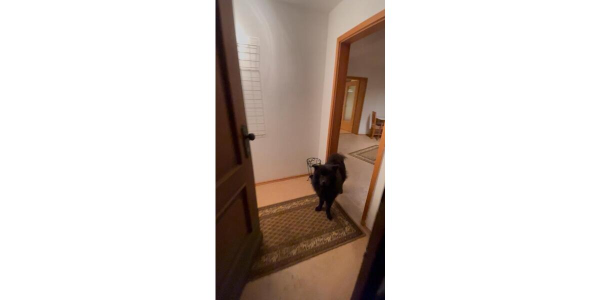 Erdgeschoßwohnung Schauenburg - 1 Zimmer, 50 m&sup2;, 750&euro; | Angebot:25405406