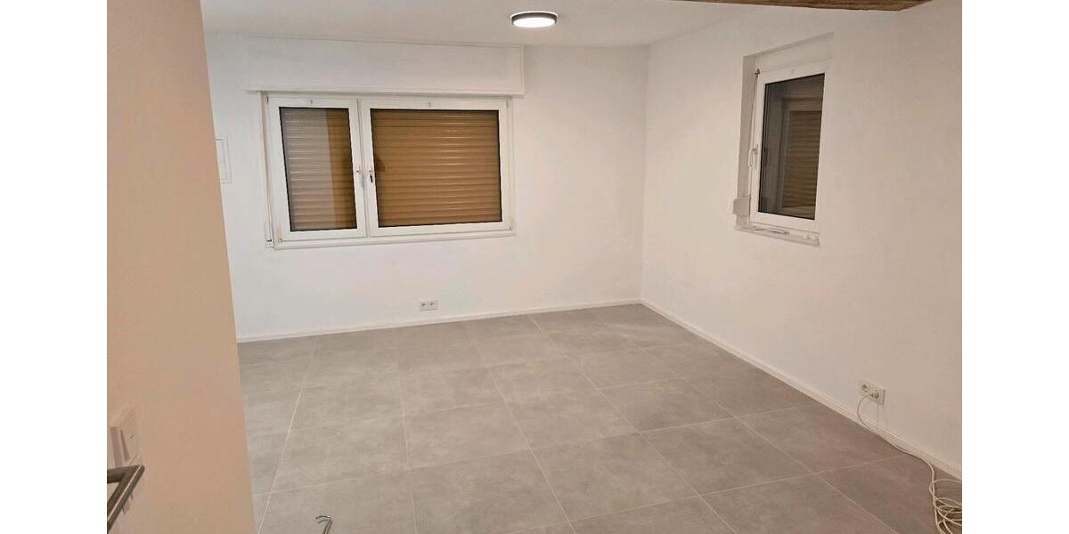 1.Zi.WohnungBüro mit kochnische,WohnenSchlafen,BadWC 1 zimmer