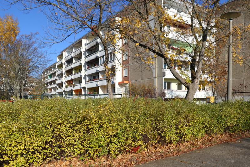 Erdgeschoßwohnung Dessau-Roßlau Dessau - 1 Zimmer, 40 m&sup2;, 240&euro; | Angebot:25350276