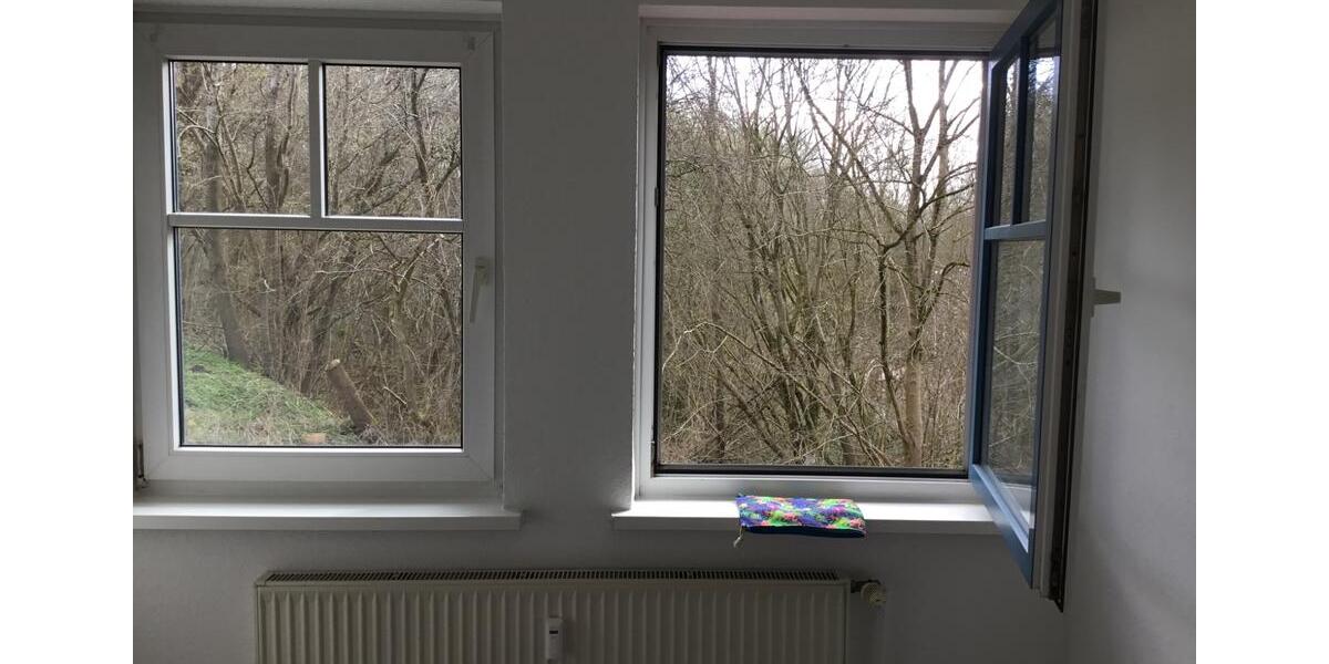 Etagenwohnung Flensburg - 1 Zimmer, 20 m&sup2;, 345&euro; | Angebot:26652148