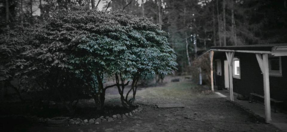 Einfamilienhaus Wildeshausen - 3 Zimmer, 75 m&sup2;, 850&euro; | Angebot:25367068