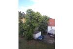 Etagenwohnung Albstadt - 3 Zimmer, 45 m&sup2;, 555&euro; | Angebot:26423412