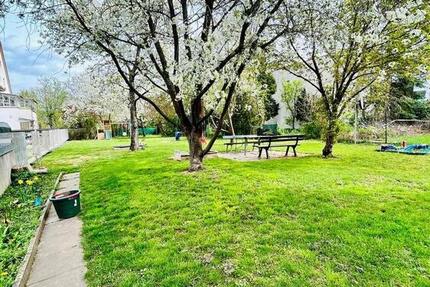 Wohnung Eschwege - 5 Zimmer, 128 m&sup2;, 650&euro; | Angebot:26291965