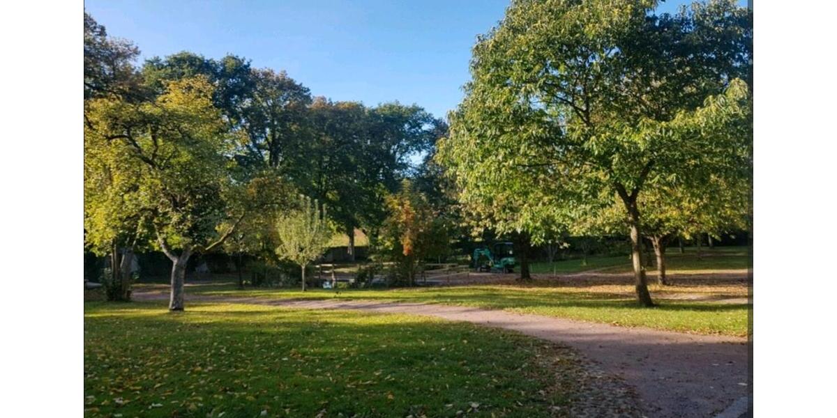 Erdgeschoßwohnung Breuberg - 2 Zimmer, 900&euro; | Angebot:22883056